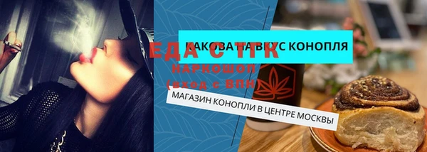 сатива Новодвинск