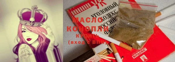 сатива Новодвинск