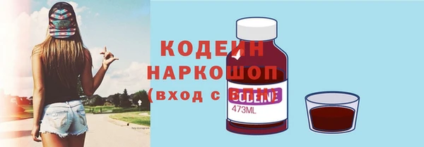сатива Новодвинск