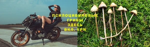 COCAINE Новокубанск