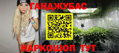jwh Аргун