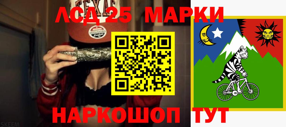 Псилоцибиновые грибы Апшеронск