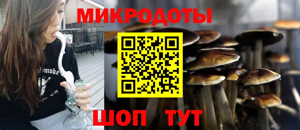 где купить наркоту  Галлюциногенные грибы мицелий  Вход с VPN  Апшеронск  Галлюциногенные грибы Psilocybine cubensis 